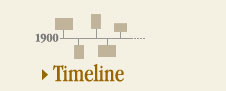 Timeline button